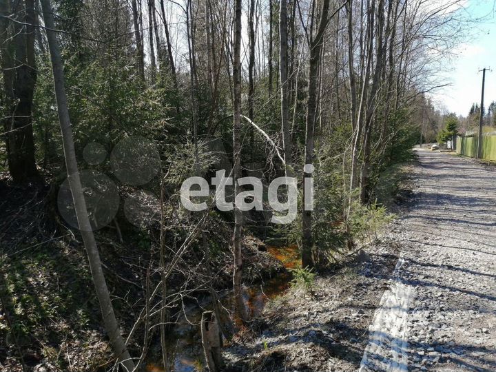 Участок 10 сот. (СНТ, ДНП)