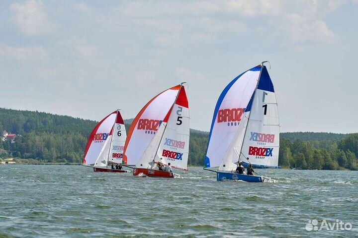 Прогулка, обучение напарусной яхте, мероприятия