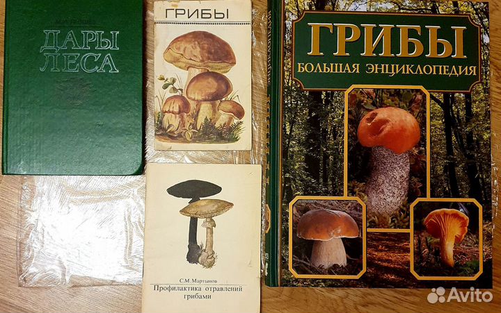 Книги о грибах. Ягоды