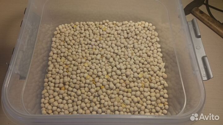 Микрозелень, семена(сертифицированные)