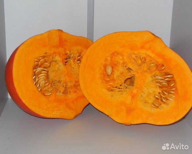 Семена Тыквы 