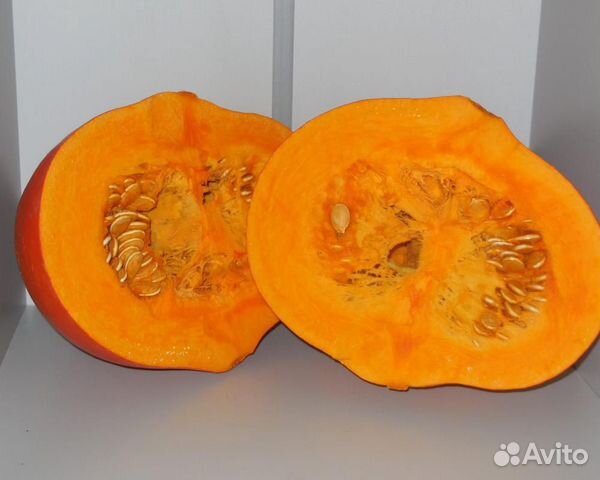 Семена Тыквы 