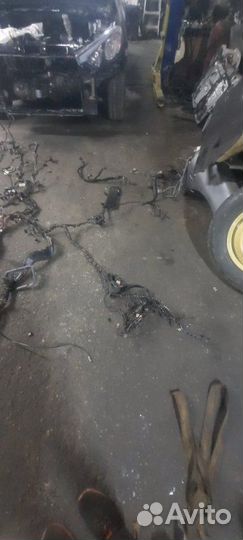 Жгут проводов двигателя Volkswagen Phaeton 3D8 BGH