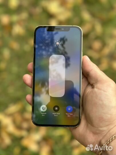 iPhone 12 Pro 256 gb Ростест