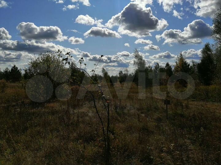 Участок 10 сот. (ИЖС)