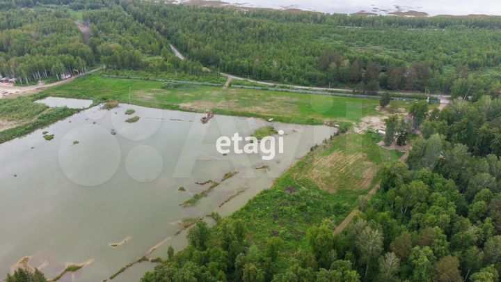 Участок 10 сот. (СНТ, ДНП)