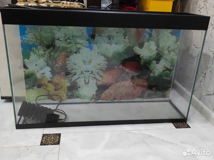Аквариум