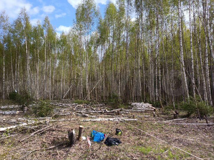 Участок 13 сот. (ИЖС)