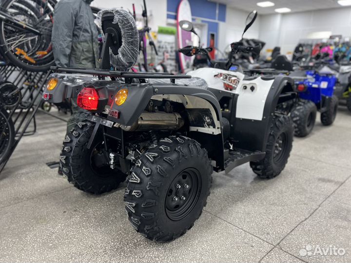 Baltmotors Striker 500 EFI