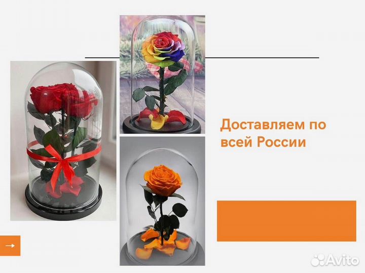Роза в колбе. От производителя