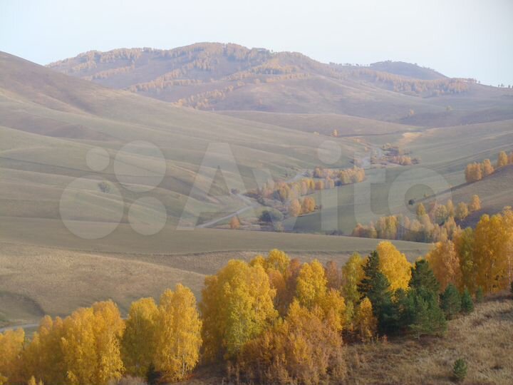 Участок 2 га (СНТ, ДНП)