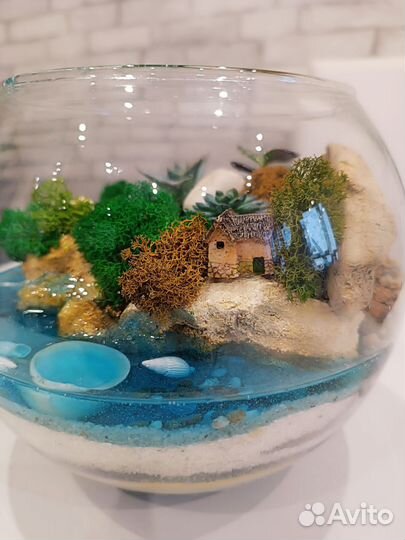 Флорариум. Цветы. Подарок