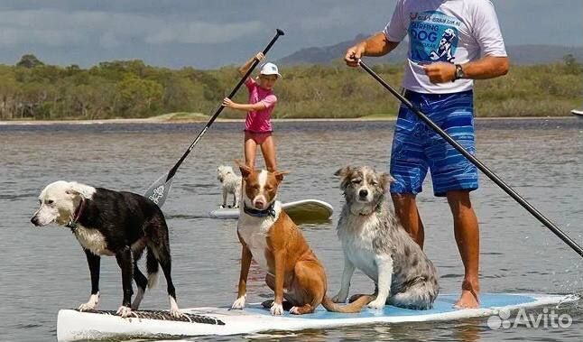 Сап доска для плавания