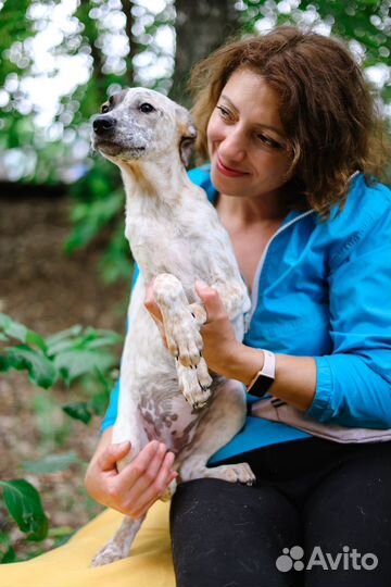 Приходи за другом в приют