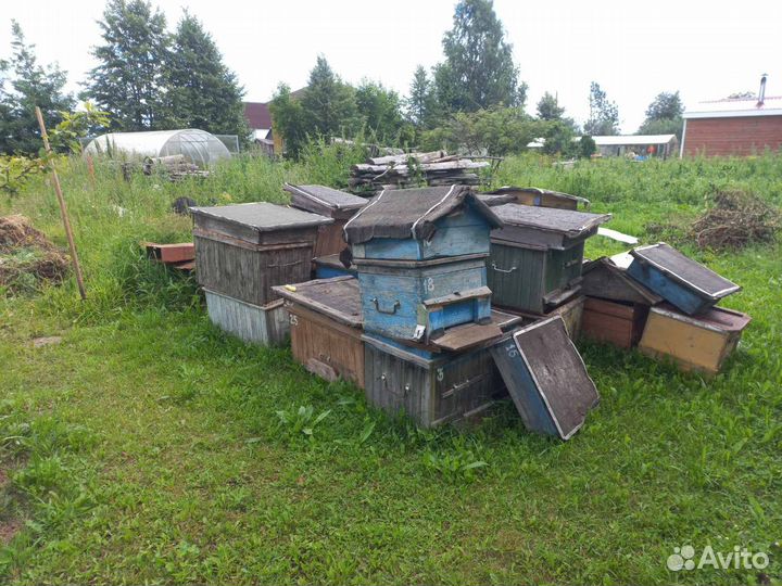 Продам ульи для пчел