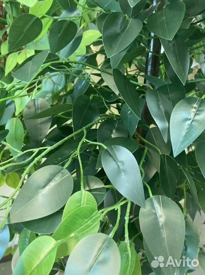 Искусственные деревья