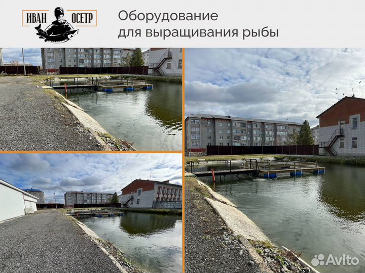 Крышка садка для выращивания рыбы