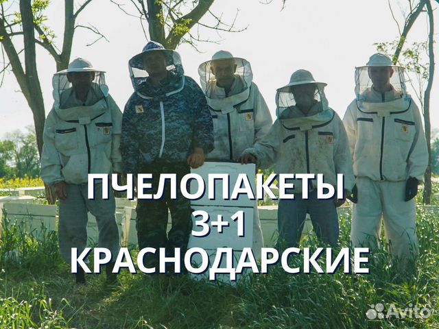 Пчелопакеты 3+1 Краснодарские