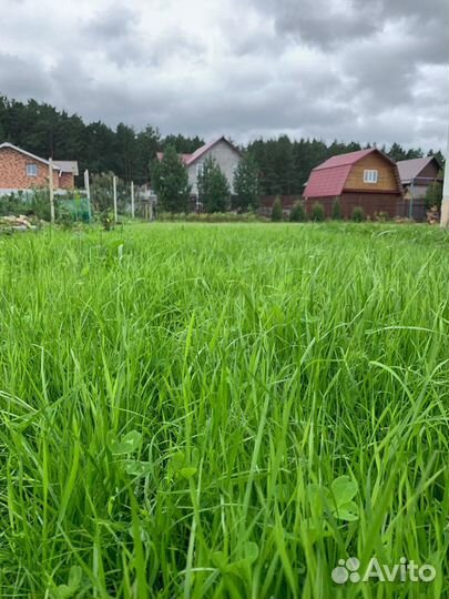 Семена трав. Травосмесь Гидропосев