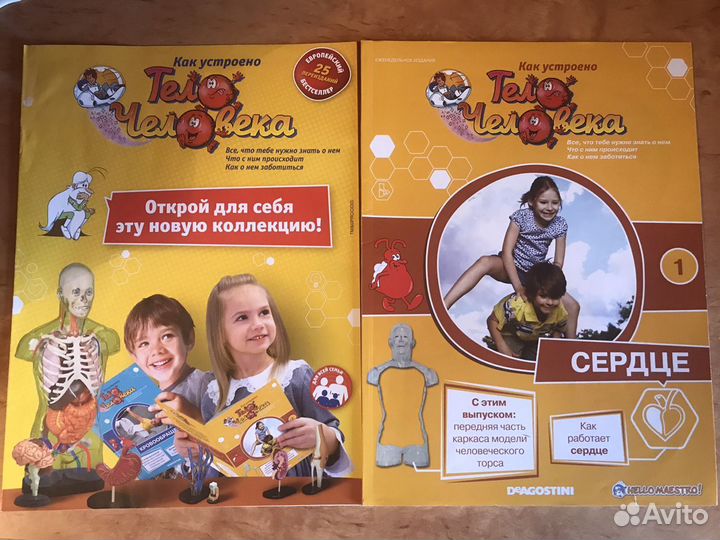 Журналы «Как устроено тело человека»