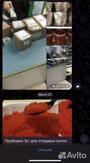 Красная икра оптом