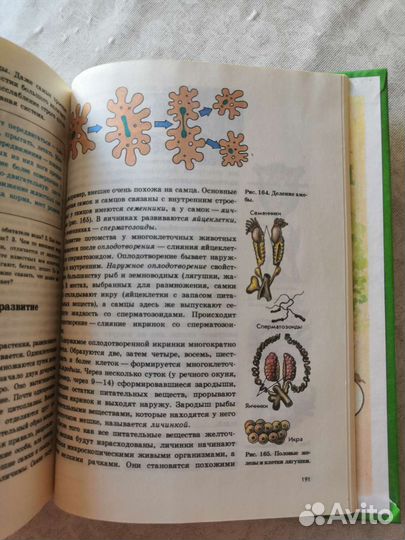 Естествознание 6кл и раб тетрадь 5 7 кл, Растения