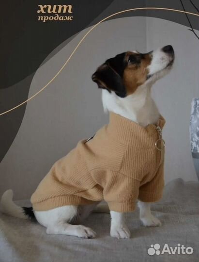 Одежда для собак и кошек