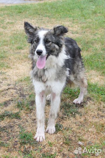 Воинственная Зена