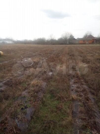 Участок 32 сот. (ИЖС)