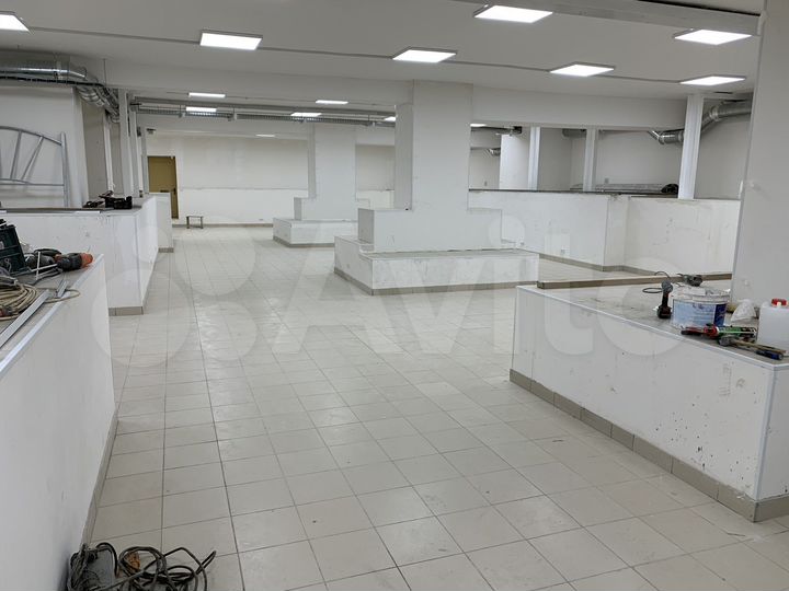 Свободного назначения, 50 м²