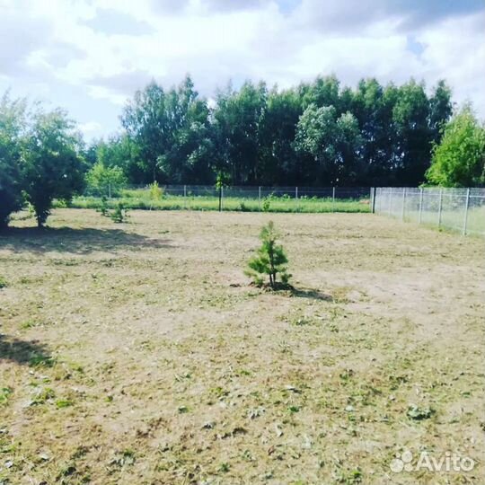 Покос травы, вспашка,уборк,вывоз, дробление веток