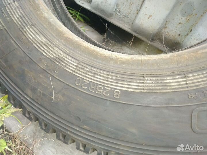 Шина О-79 8,25-20