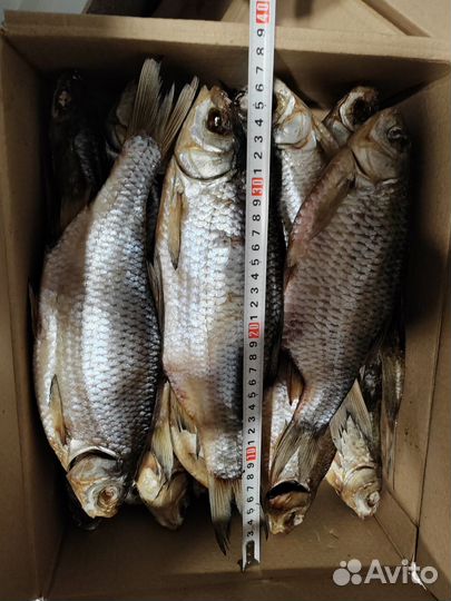 Вобла от астраханцев в Москве