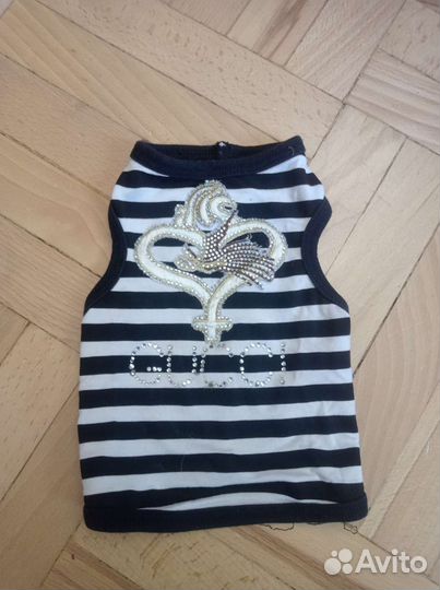 Одежда для собак