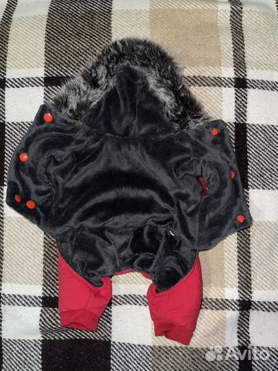 Одежда для собак