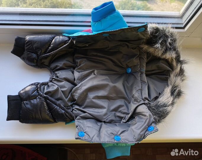 Куртки комбинезоны новые для собак мелких пород