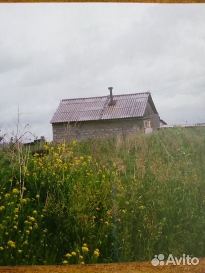 Продам пасеку