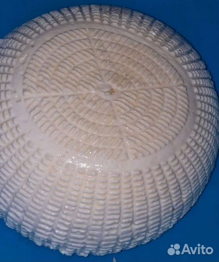 Сыр из козьего молока