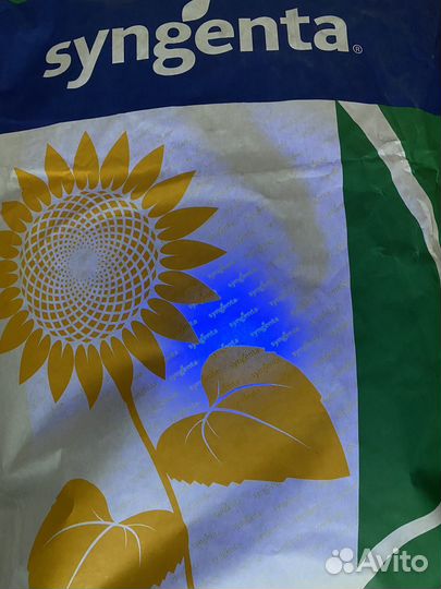 Syngenta suomi (Гибрид) семена подсолнечника