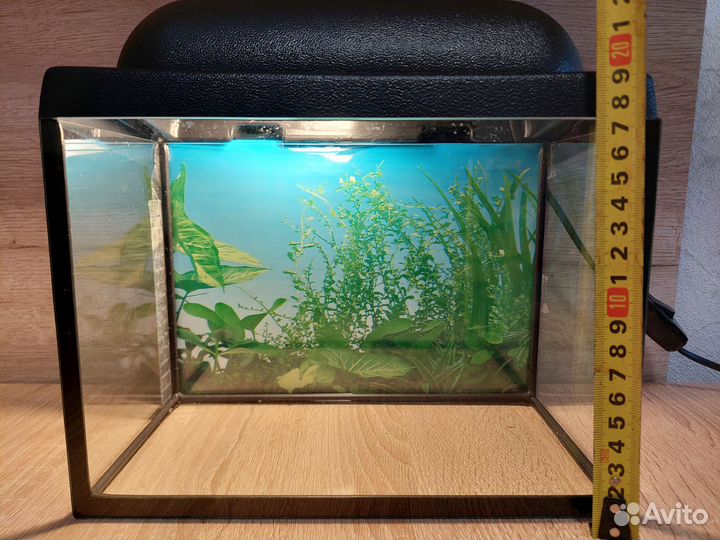 Аквариум
