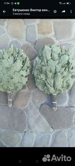 Дубовые берёзовые эвкалиптовые веники для бани