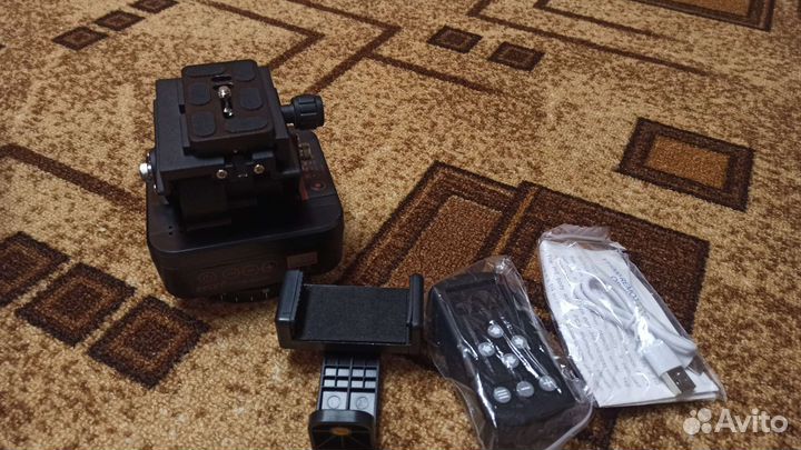 Электронная голова