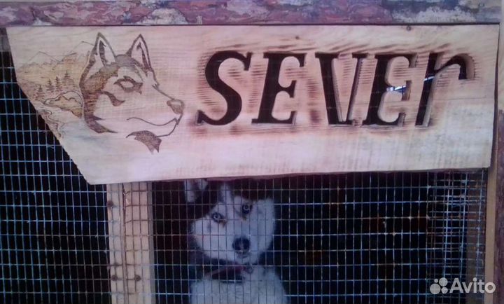 Таблички на вольер