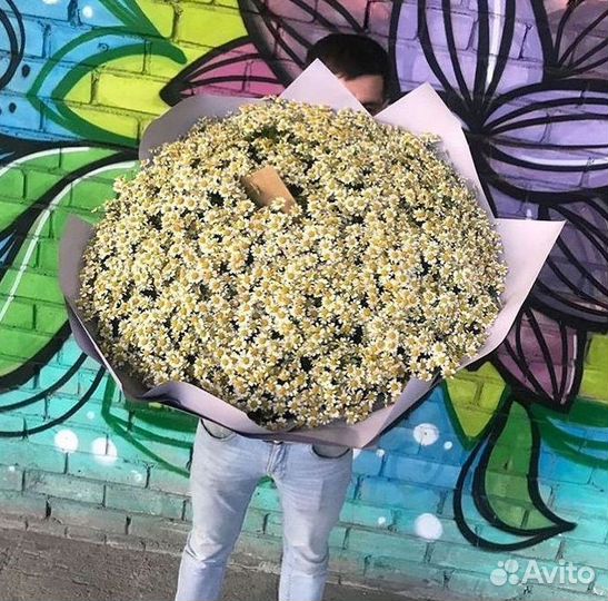 Букеты. Доставка ромашек