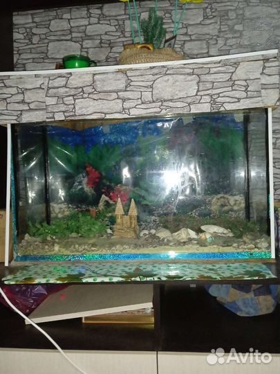 Аквариум