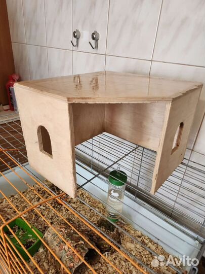 Дом для грызунов