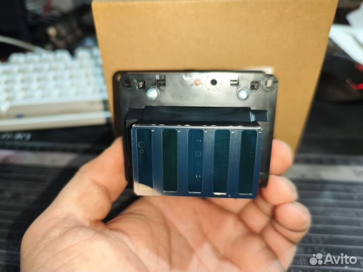 F179000/F179030 Печатающая головка Stylus 11880