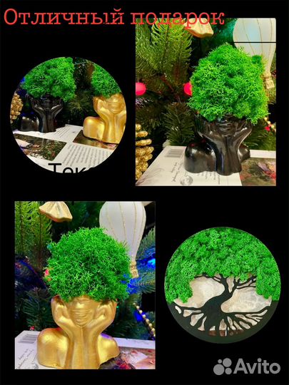 Панно из стабилизированного мха