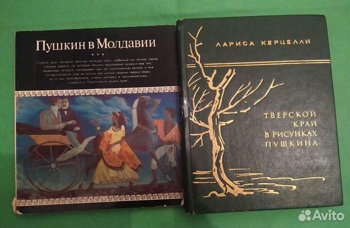 Книги путеводитель по музеям. Художник выставка
