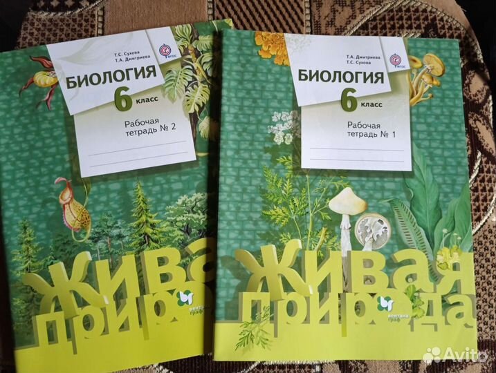 Атласы, рабочие тетради 6 класс 5 класс